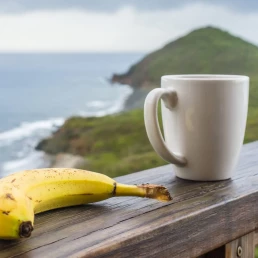 Gaat Fair Trade alleen over koffie en bananen?